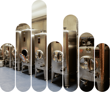 solutions suivi fermentation pour distillateurs